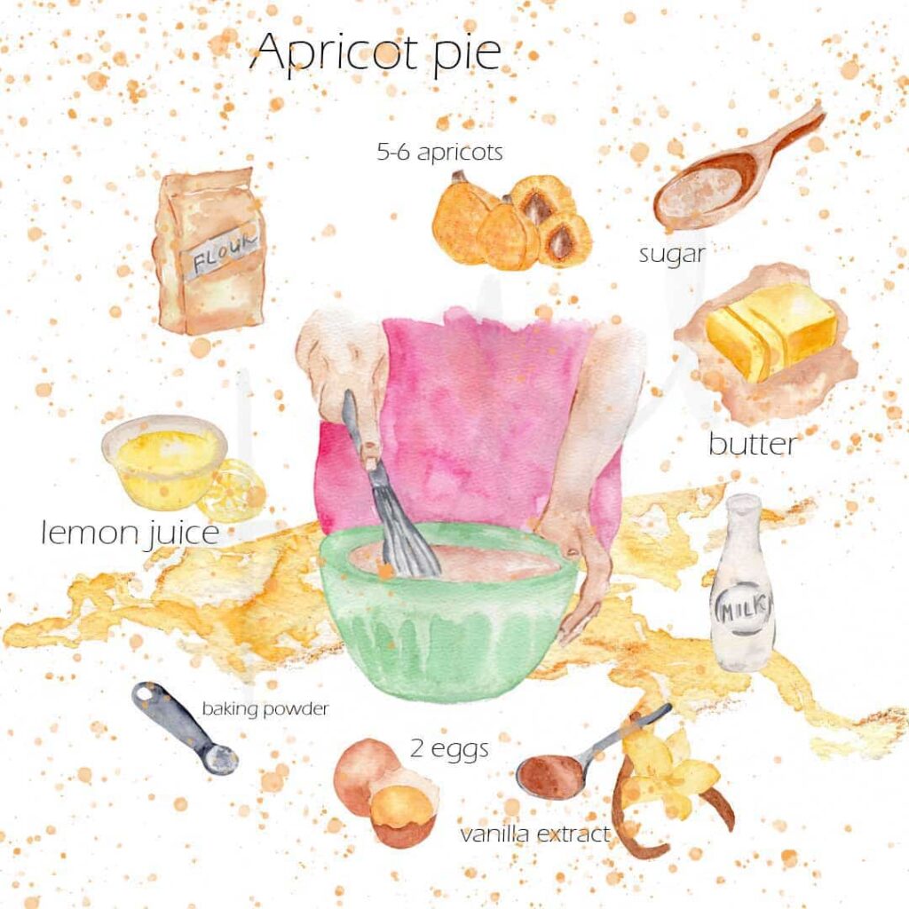watercolor illustrated recipe of apricot pie