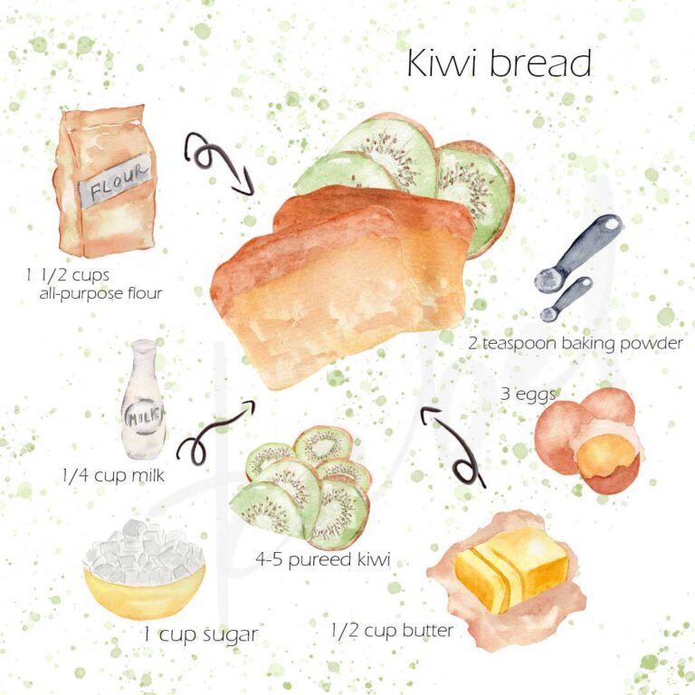 kiwi bread and butter watercolor illustrations
